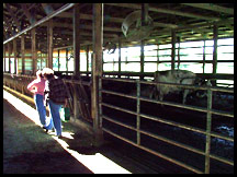 barn at Woodhaven Farm